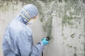 Best Environmental Consulting for Mold Prevention  in Wade, MS